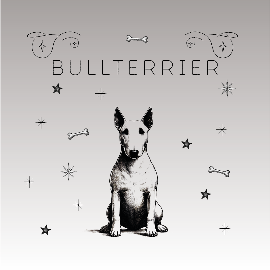 Bullterrier: Der kraftvolle Charmeur!