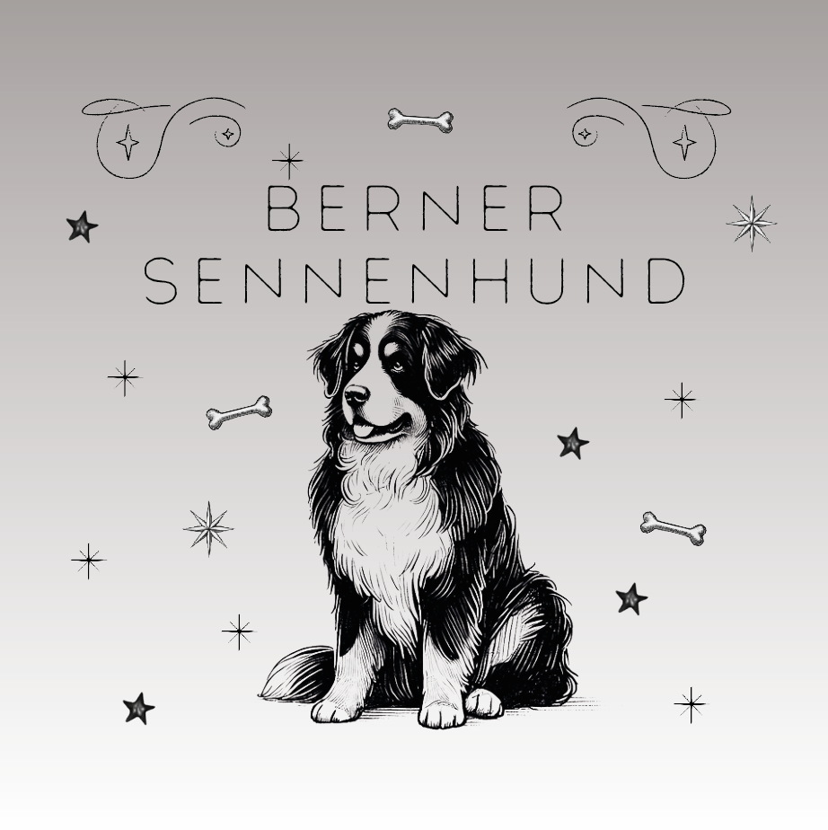 Berner Sennenhund – Der majestätische Begleiter der kalten Berge