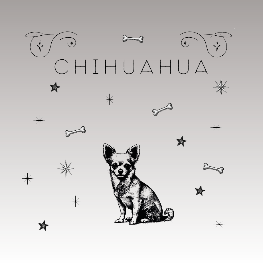 Chihuahua: Das kleine Powerpaket mit Charme und Persönlichkeit
