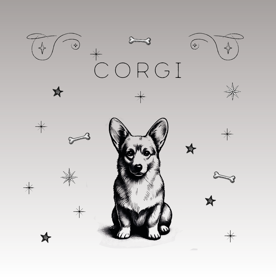 Der Welsh Corgi Pembroke: Ein treuer Begleiter mit königlichem Charme