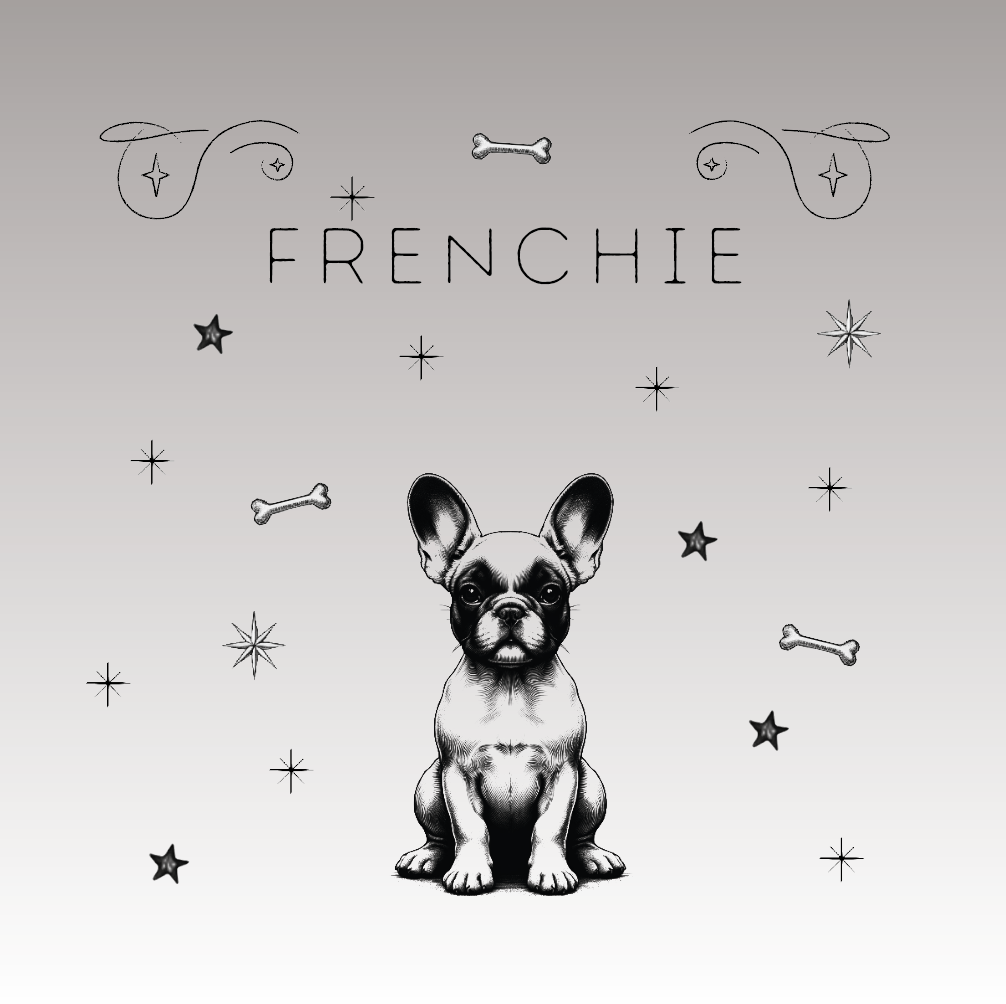 French Bulldog (Frenchie) – Der charmante Begleiter mit großem Charakter