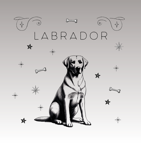 Labrador Retriever – Der freundliche Familienbegleiter