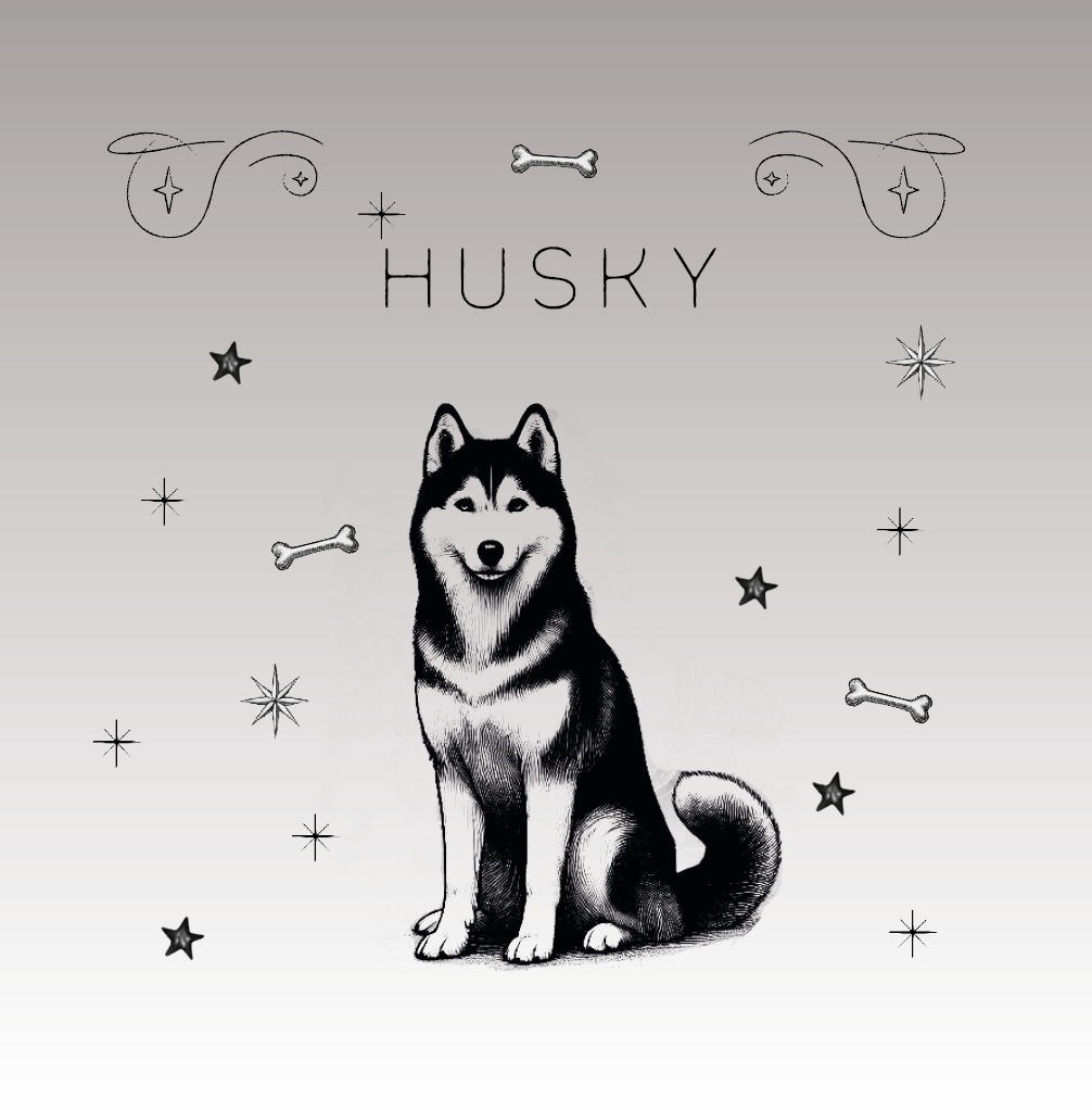 Husky – Der stolze, wilde Begleiter