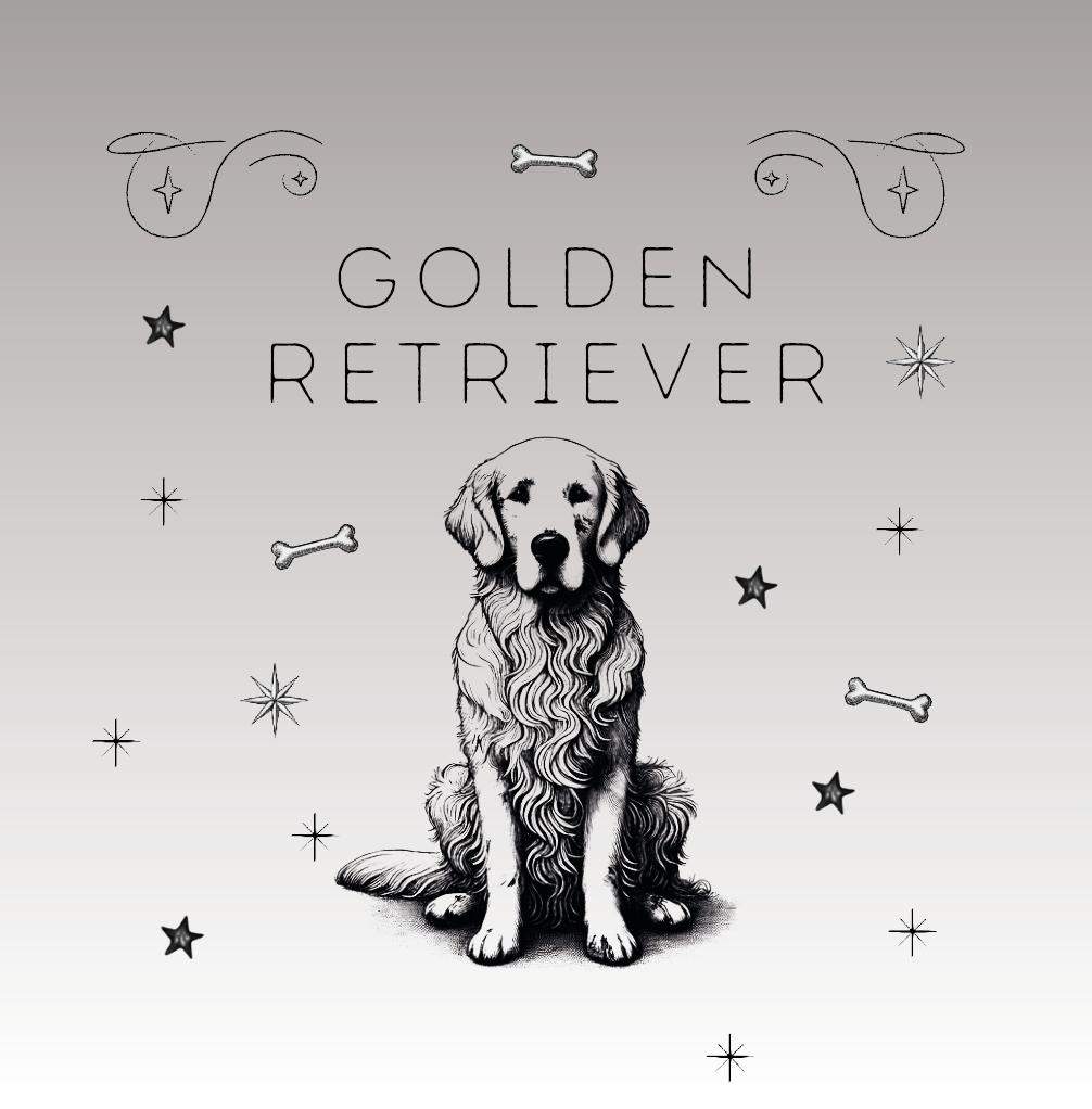 Golden Retriever – Der freundliche Allrounder unter den Hunderassen