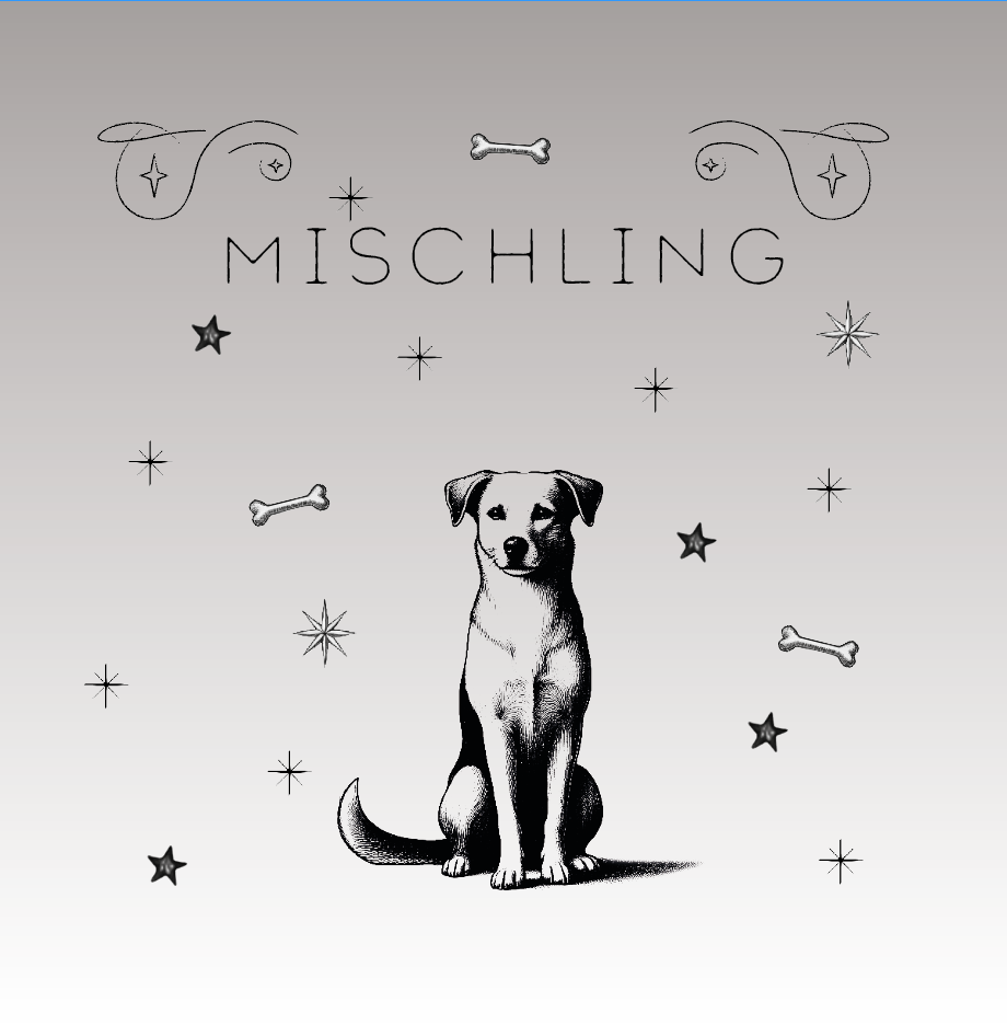 Mischlingshunde – Die einzigartigen Charmeure auf vier Pfoten