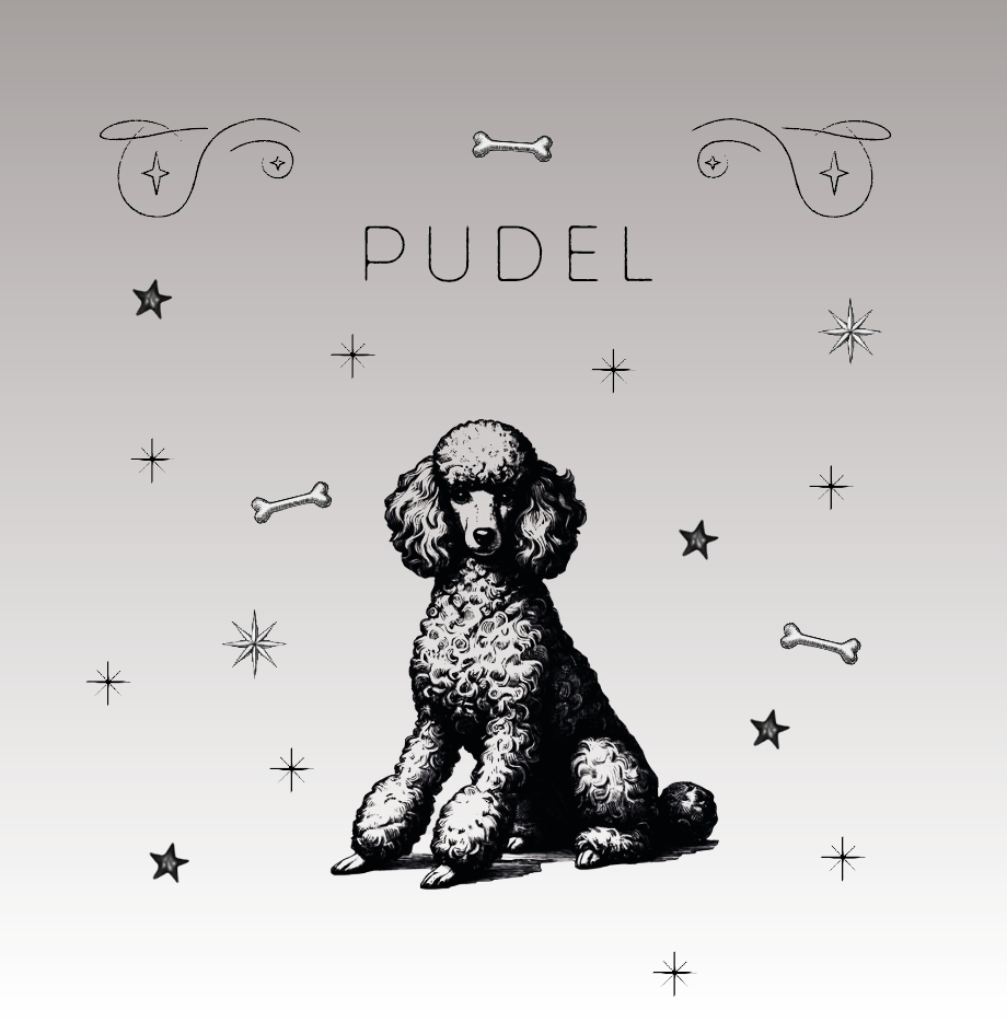 Pudel – Der elegante Alleskönner