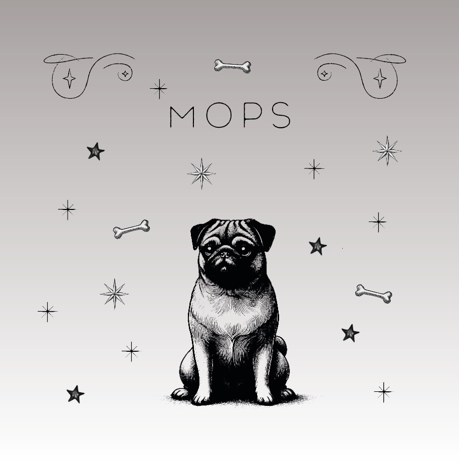 Der Mops – Der kleine Charmeur mit großer Persönlichkeit