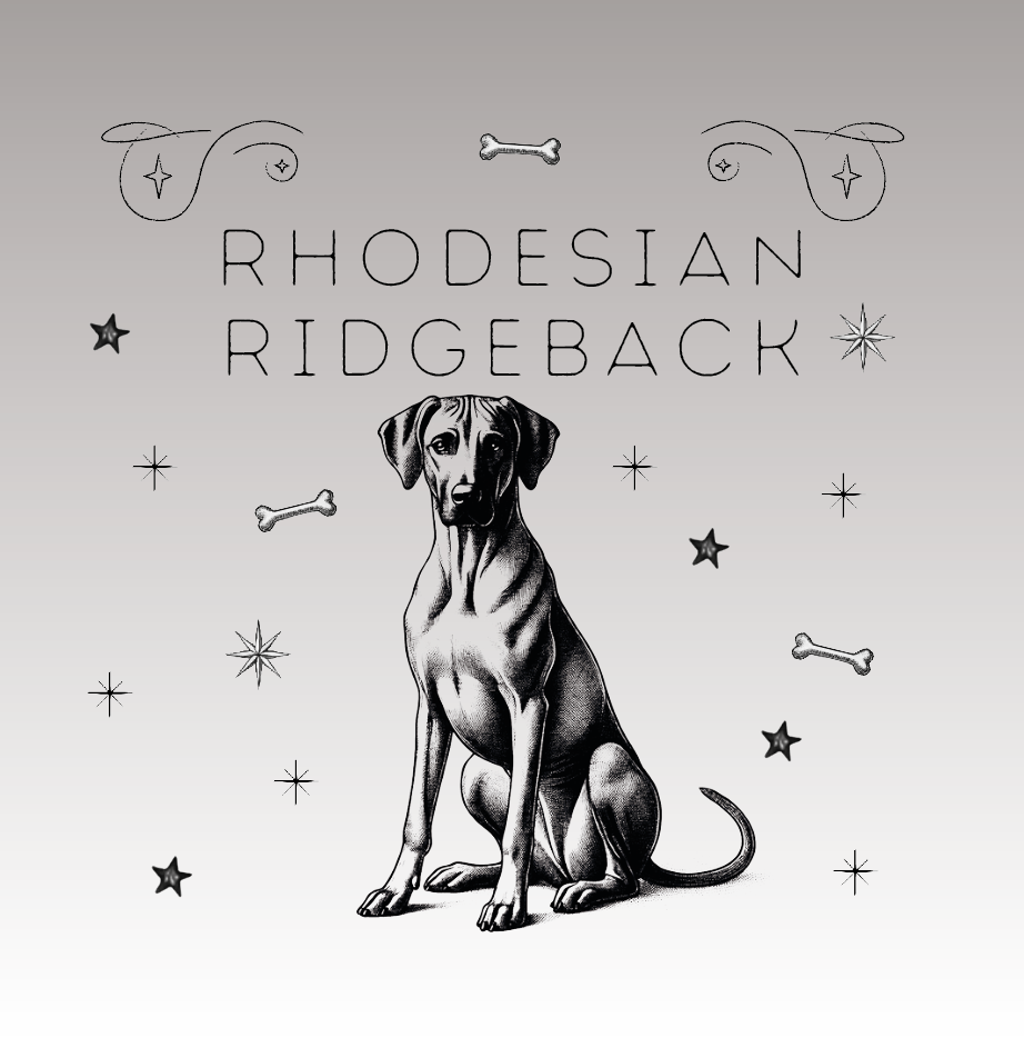 Rhodesian Ridgeback – Der König der Savanne