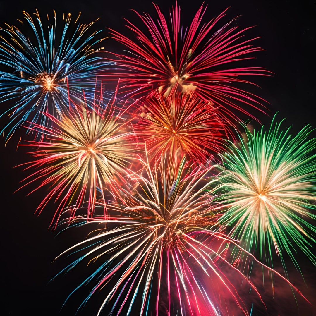 Knaller? Nein, danke! – Dackeldame Alma erzählt, wie man Silvester mit Hund sicher und entspannt feiert