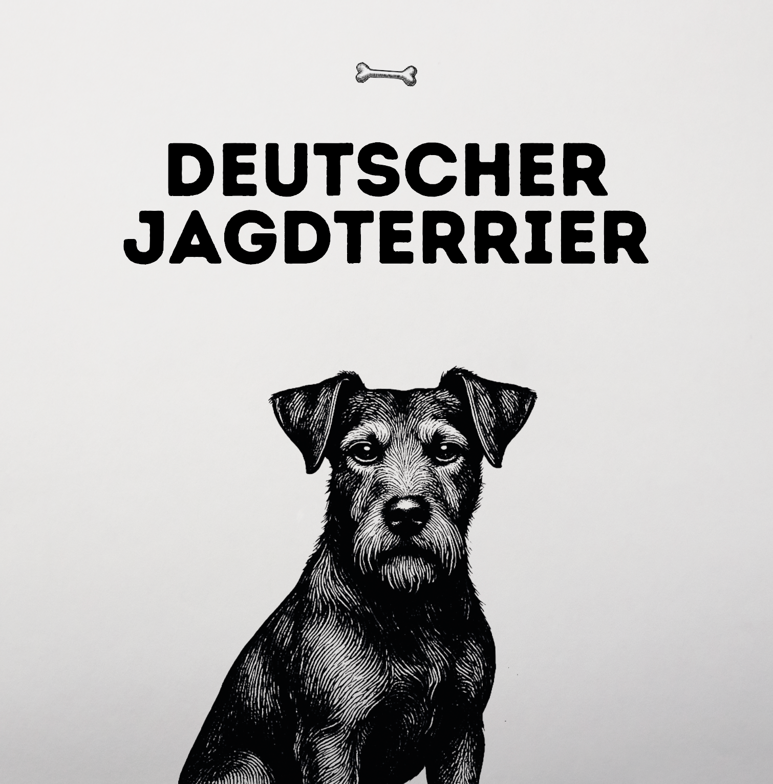 Deutscher Jagdterrier – Kleiner Hund, großes Herz für die Jagd
