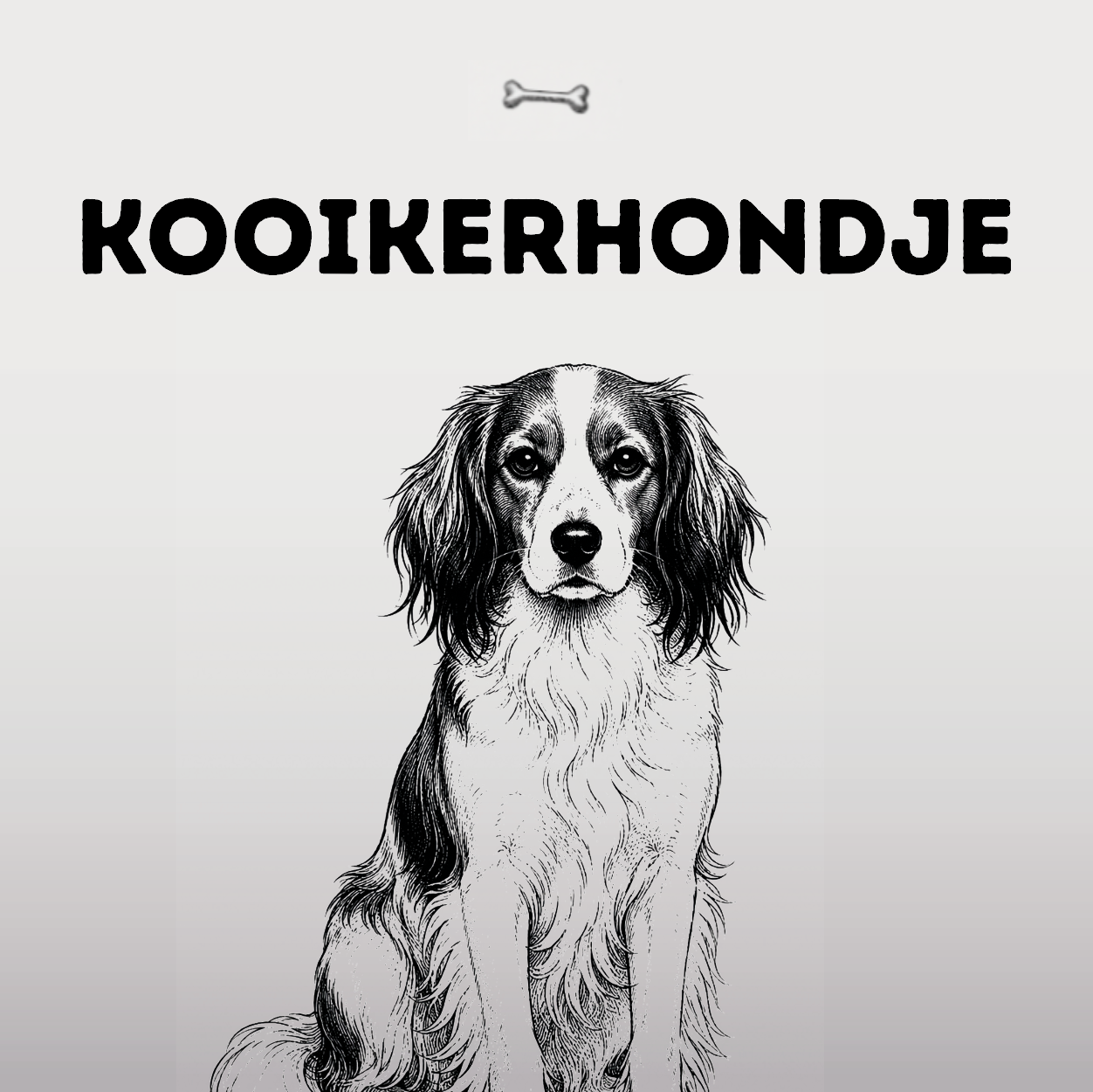 Kooikerhondje – Der fröhliche Entenlocker mit den schwarzen Ohrspitzen