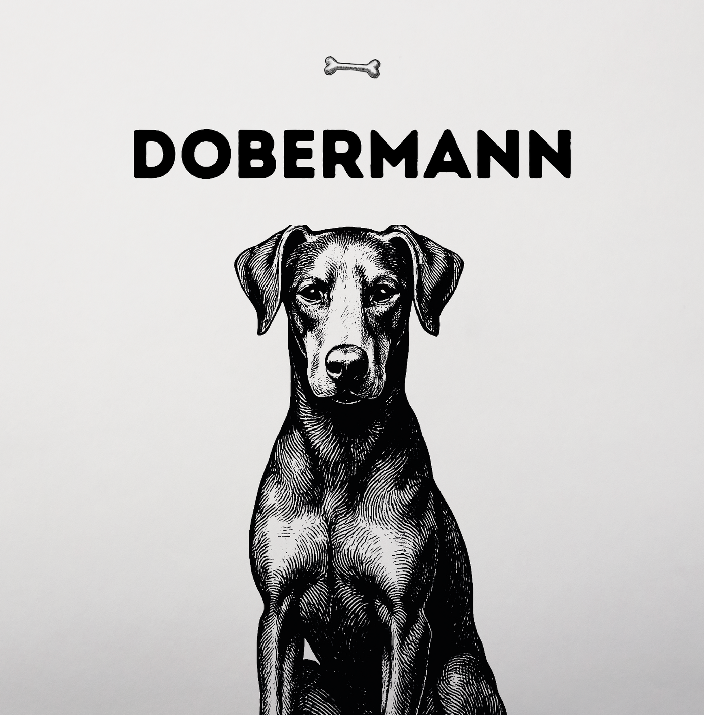 Dobermann
