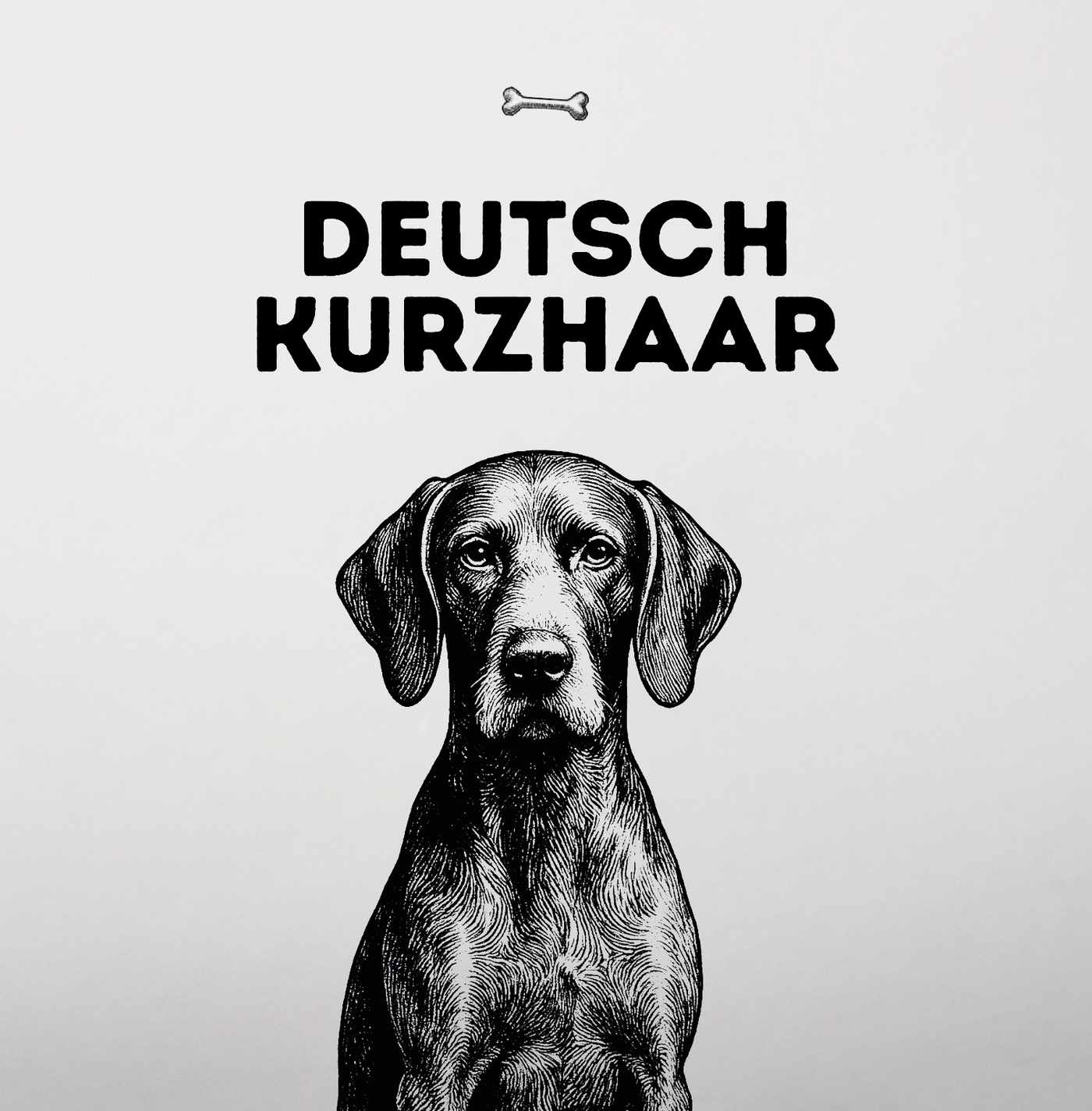 Deutsch Kurzhaar