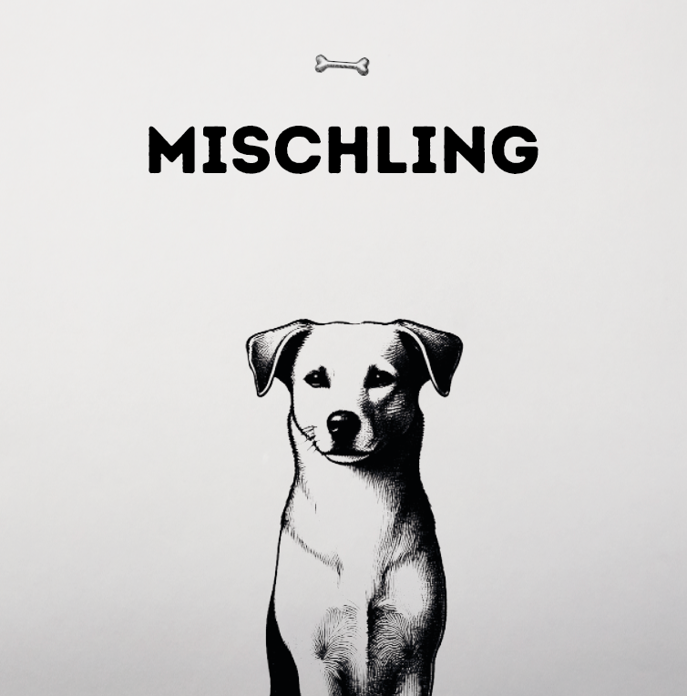 Mischling M