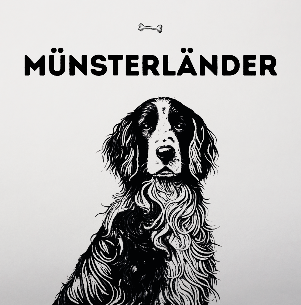 Münsterländer