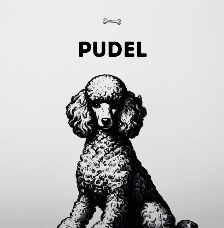 Pudel