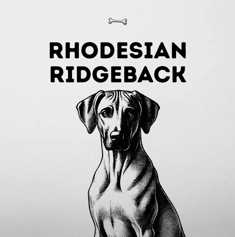 Rhodesian Ridgeback