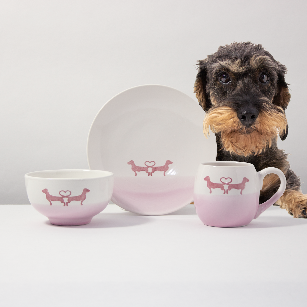 Mug dachshund love rose