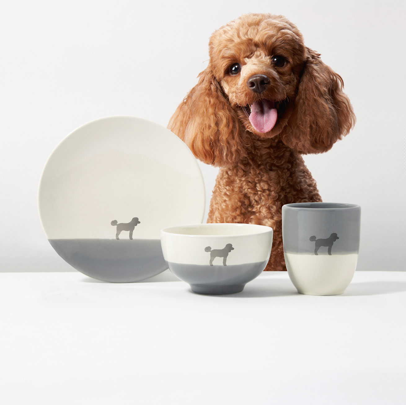 Basic Set Dusty Poodle