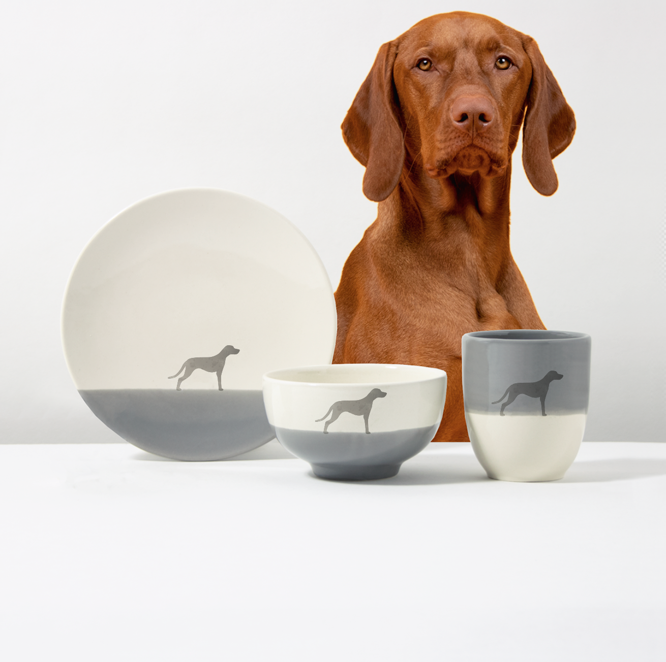 Basic Set Vizsla Dusty