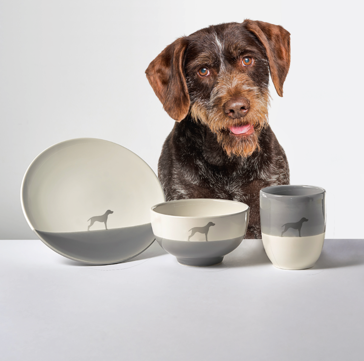 Basic Set Dusty Leader