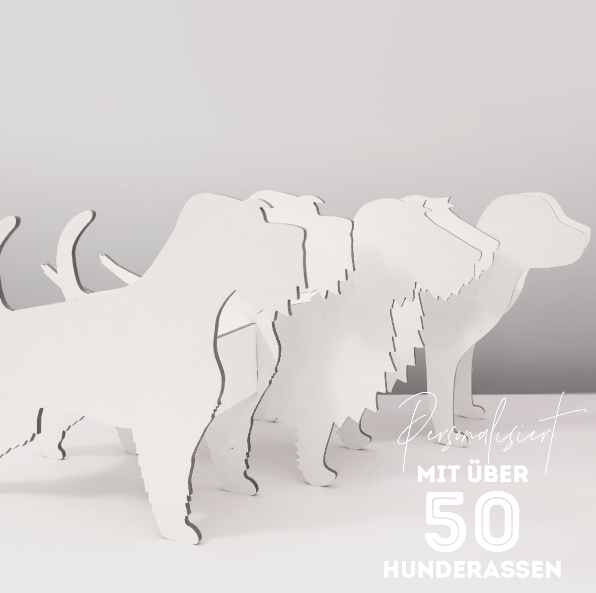 PflanzHunde LIMITED EDITION Cloud