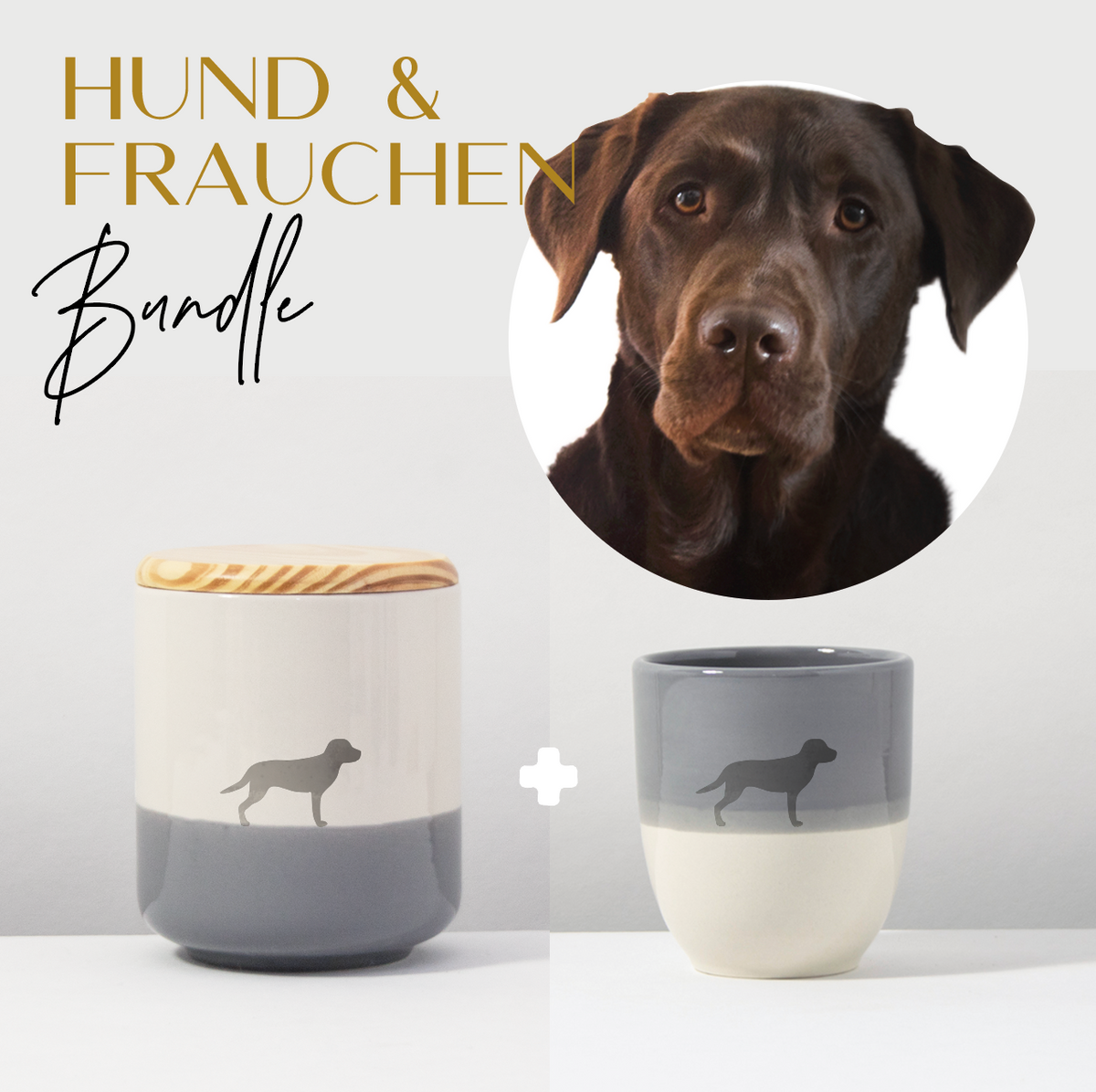 Hund & Frauchen Bundle Labrador