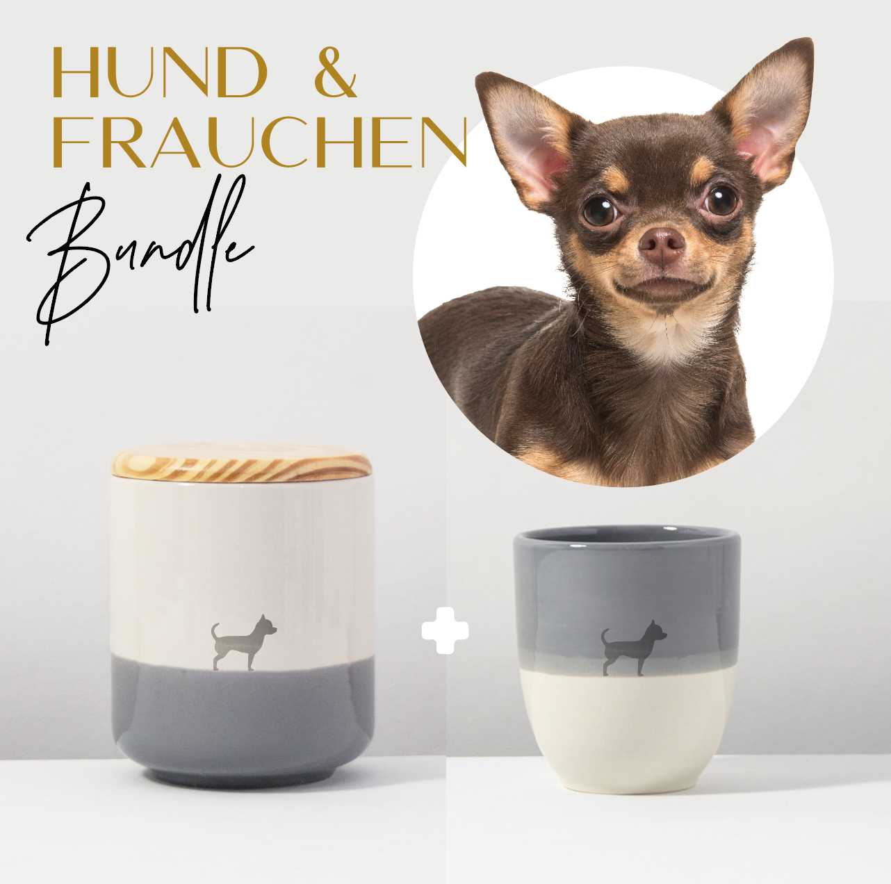Hund & Frauchen Bundle Chihuahua