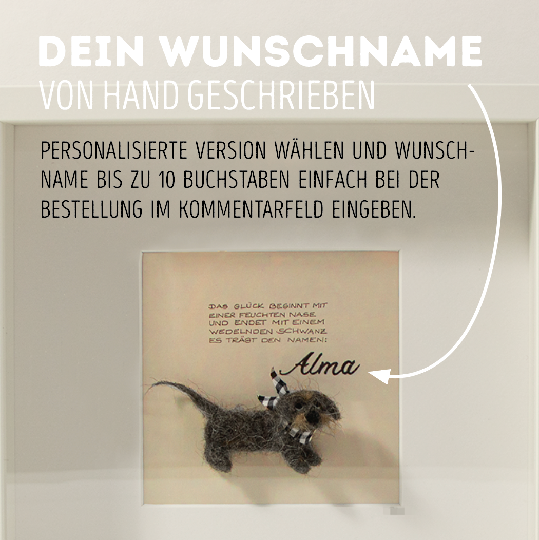 Dackelglück im Rahmen