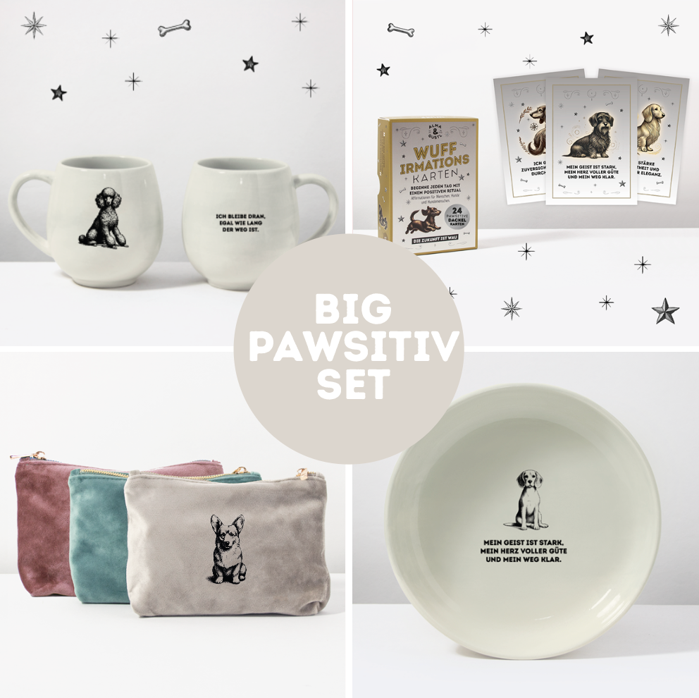 Big Pawsitiv Set