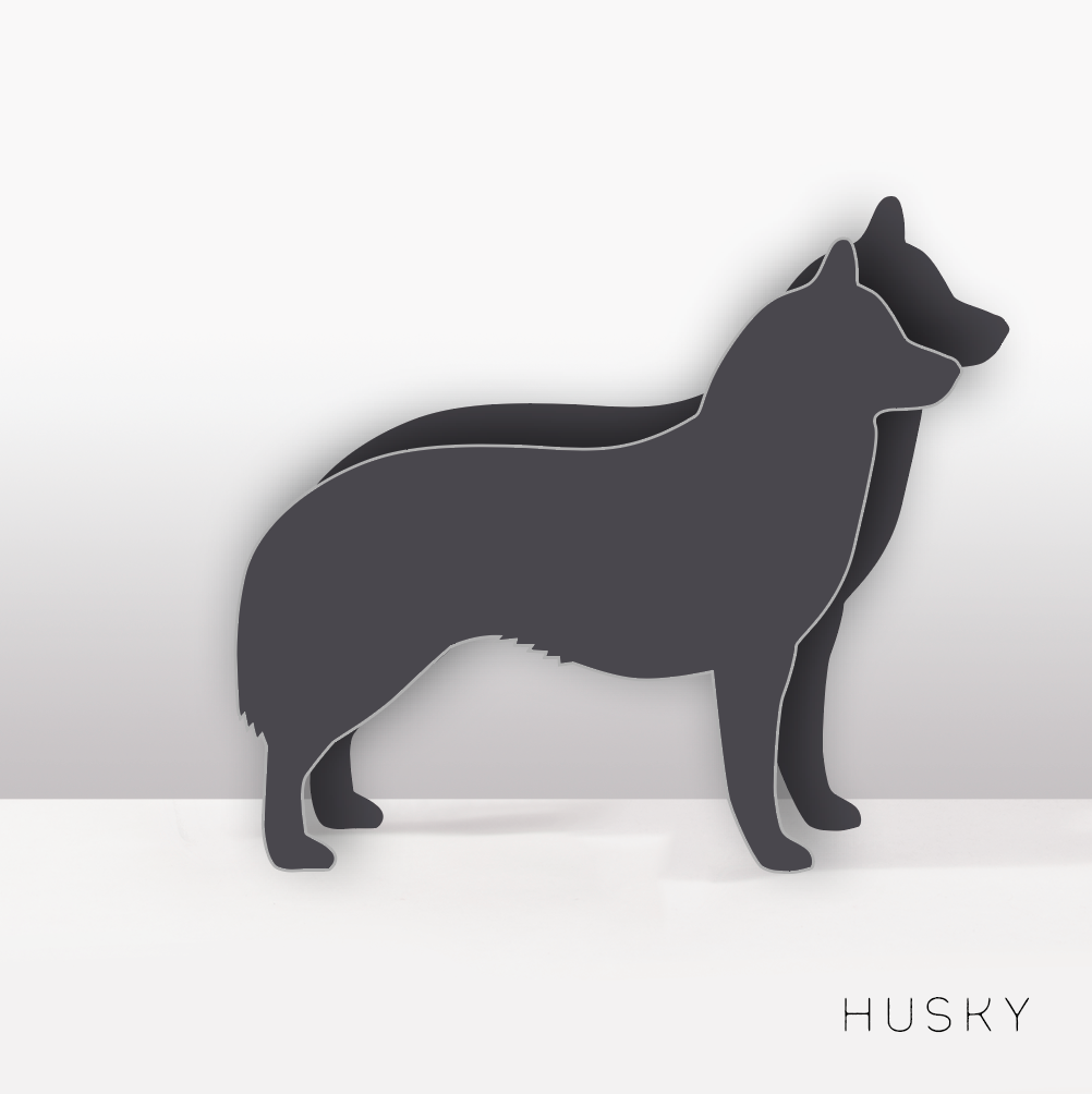 PflanzHunde LIMITED EDITION