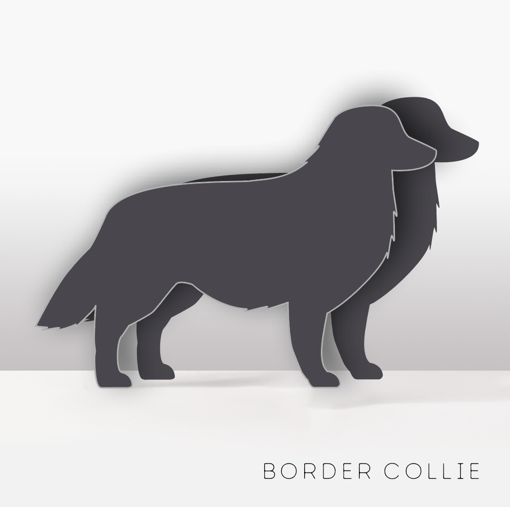 PflanzHunde LIMITED EDITION