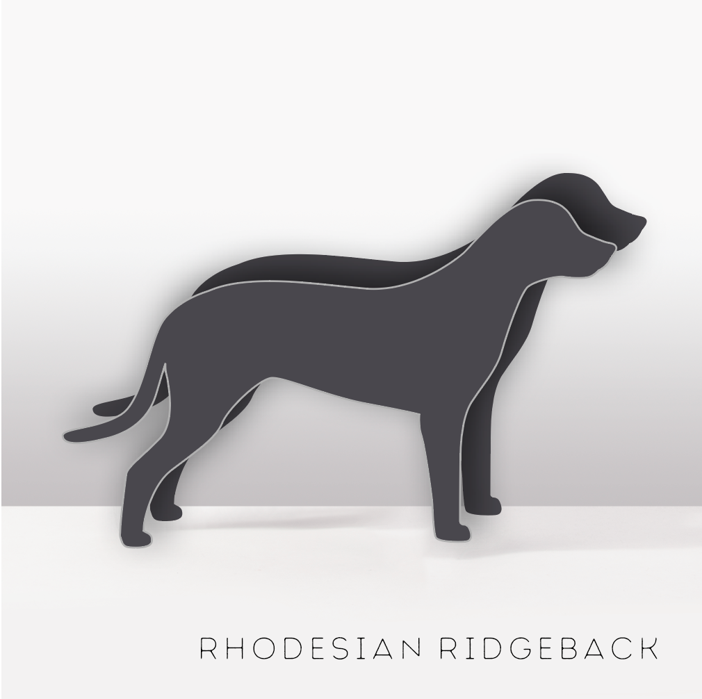 PflanzHunde LIMITED EDITION