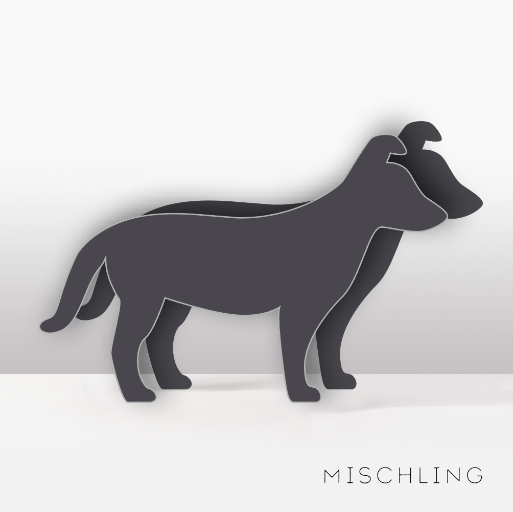 PflanzHunde LIMITED EDITION