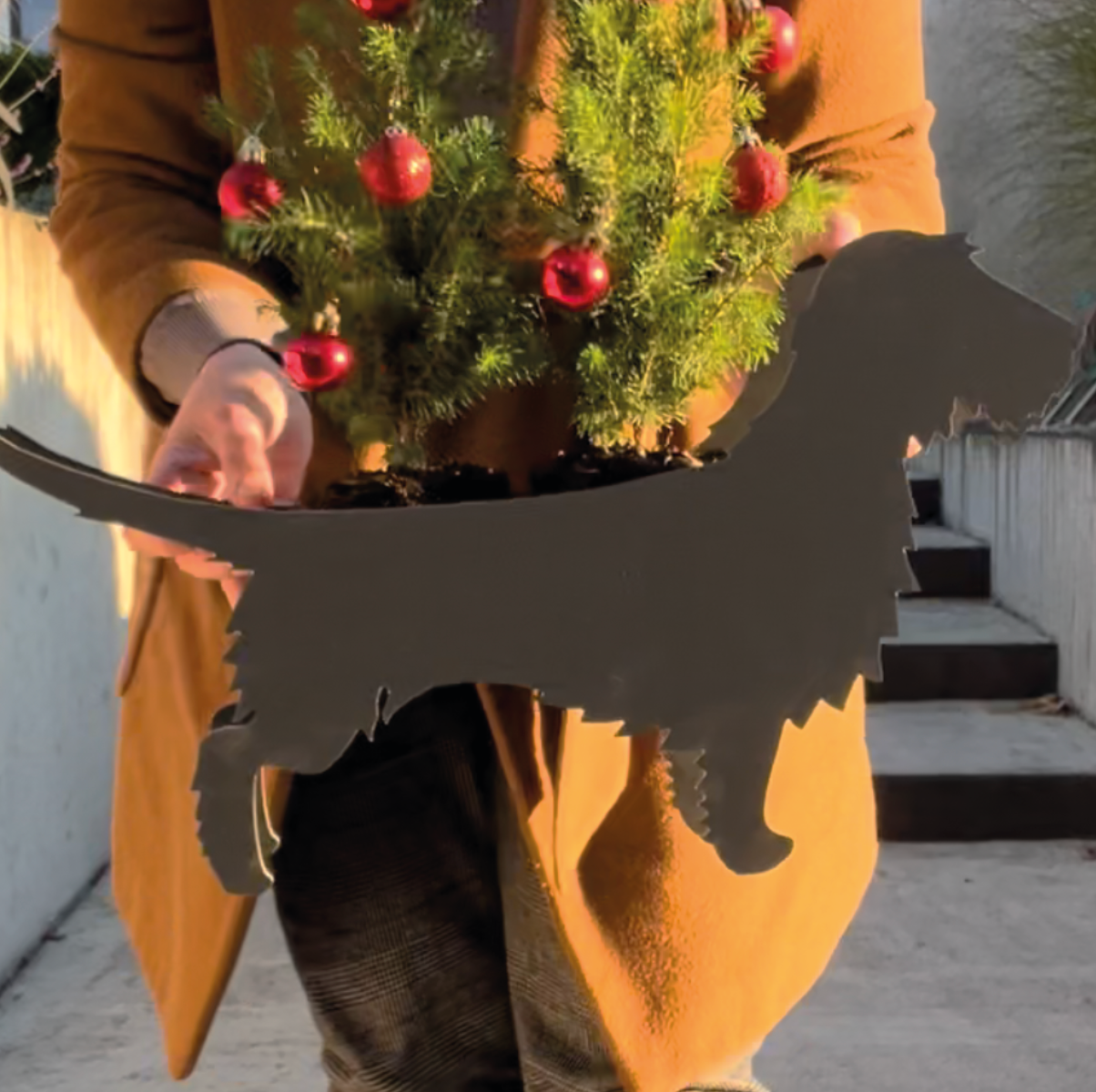 PflanzHunde LIMITED EDITION