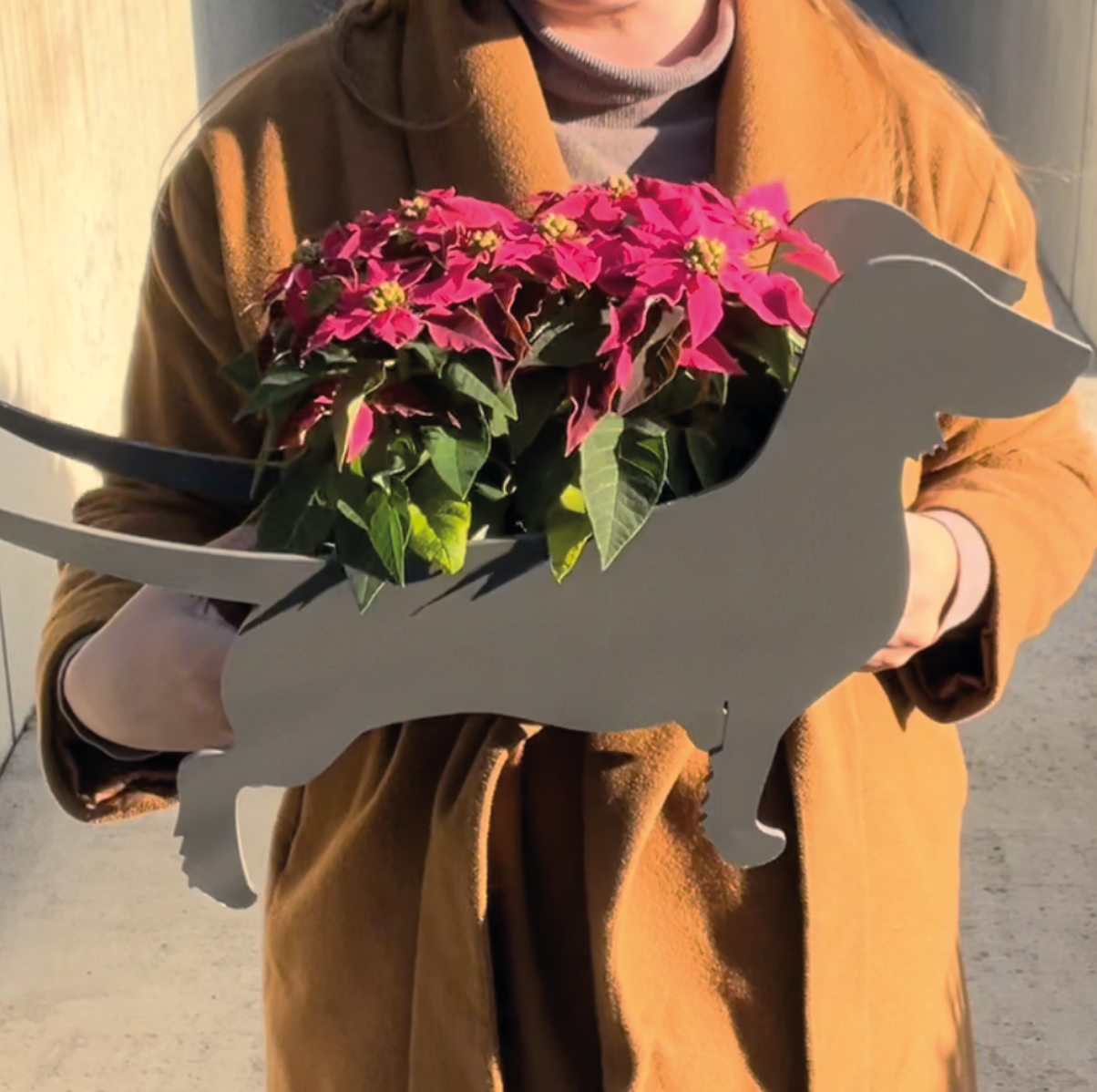 PflanzHunde LIMITED EDITION