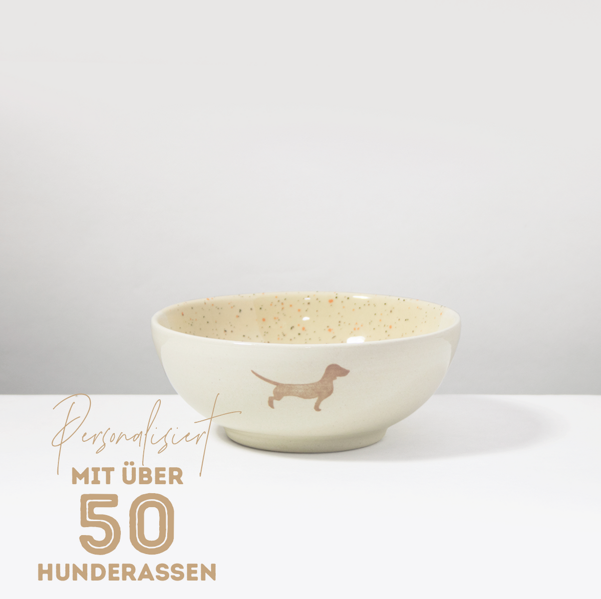 Bowl Dachshund Sand