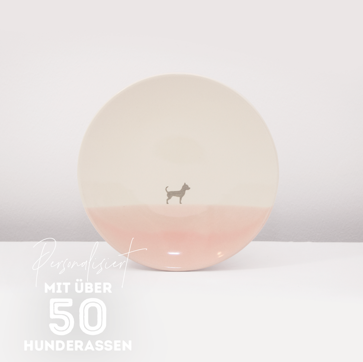 Teller Lieblingshund Powder Rose