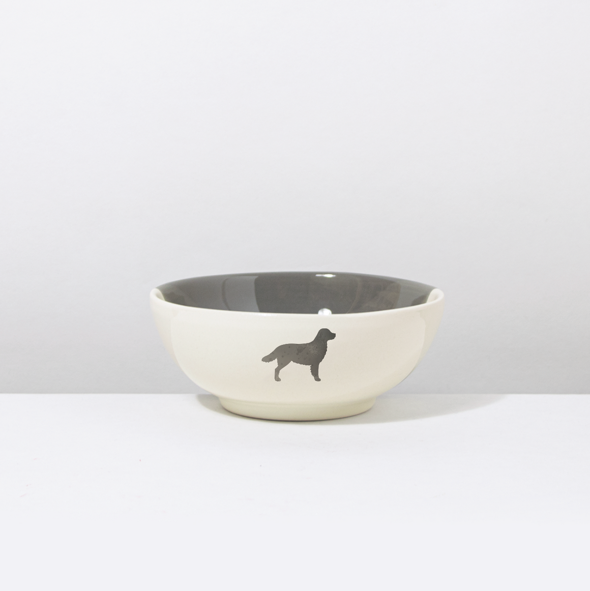 Schüssel Golden Retriever Dusty