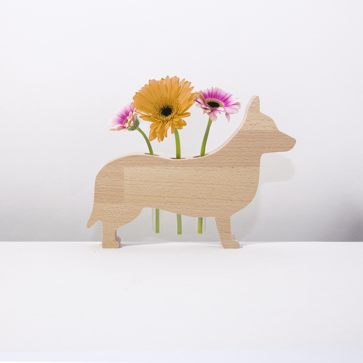 Blumenhund Corgi