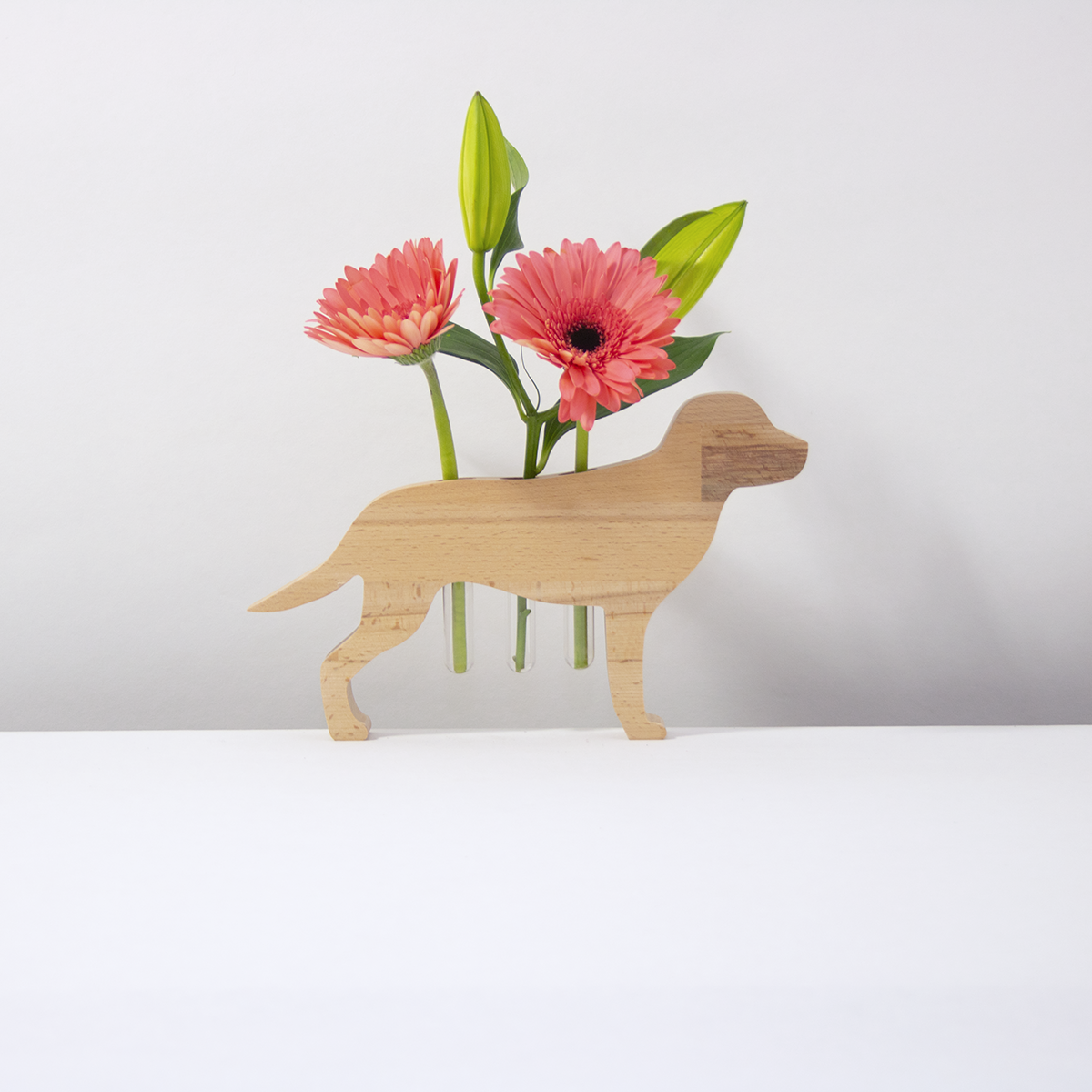 Flower Dog Labrador
