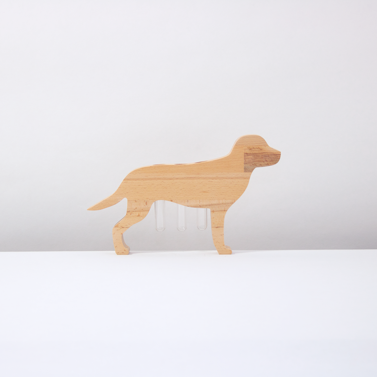 Flower Dog Labrador