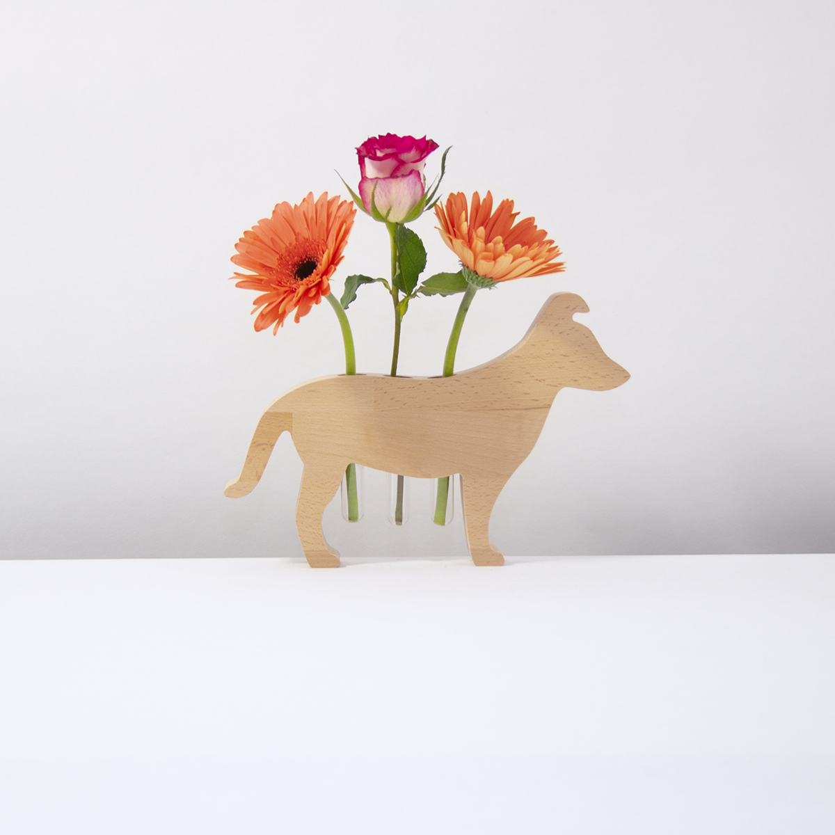 Blumenhund Mischling M