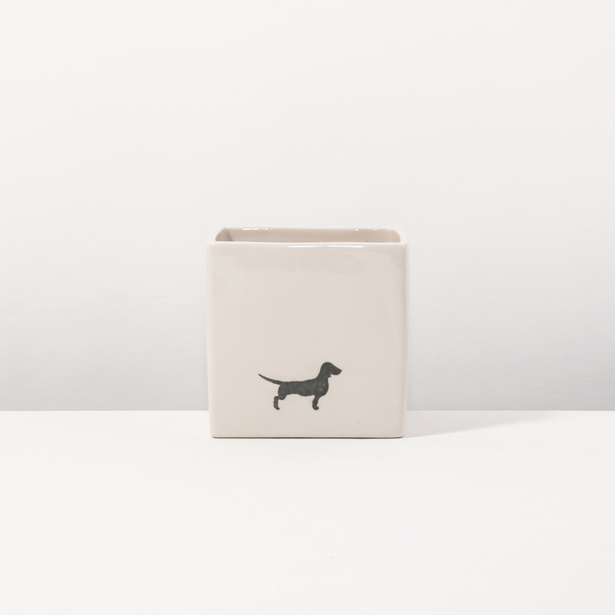 Flower pot small but fine Snow