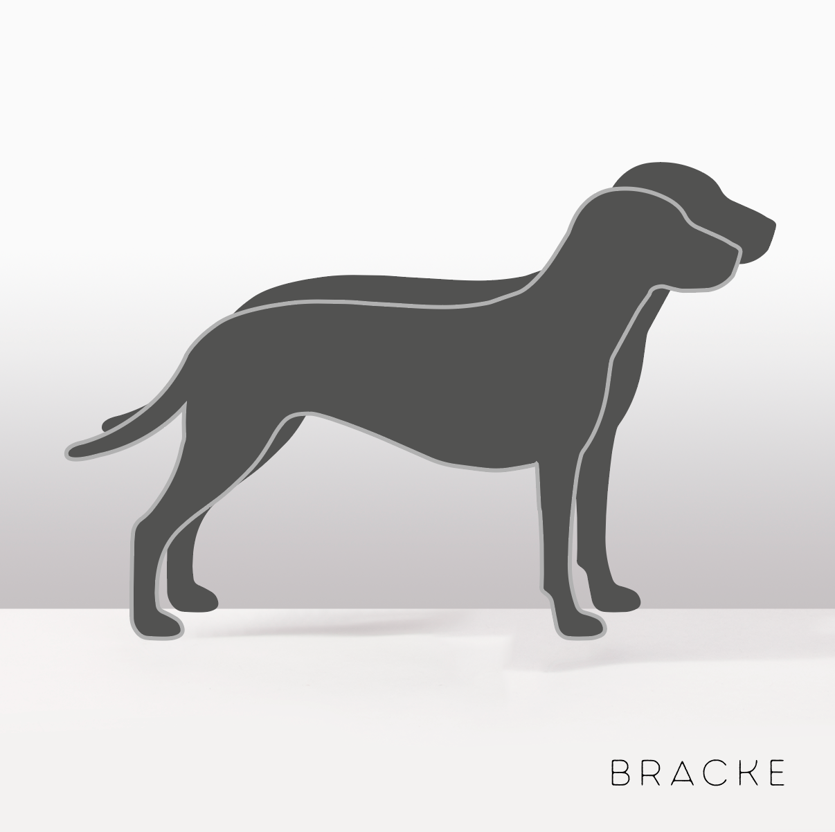 PflanzHunde LIMITED EDITION