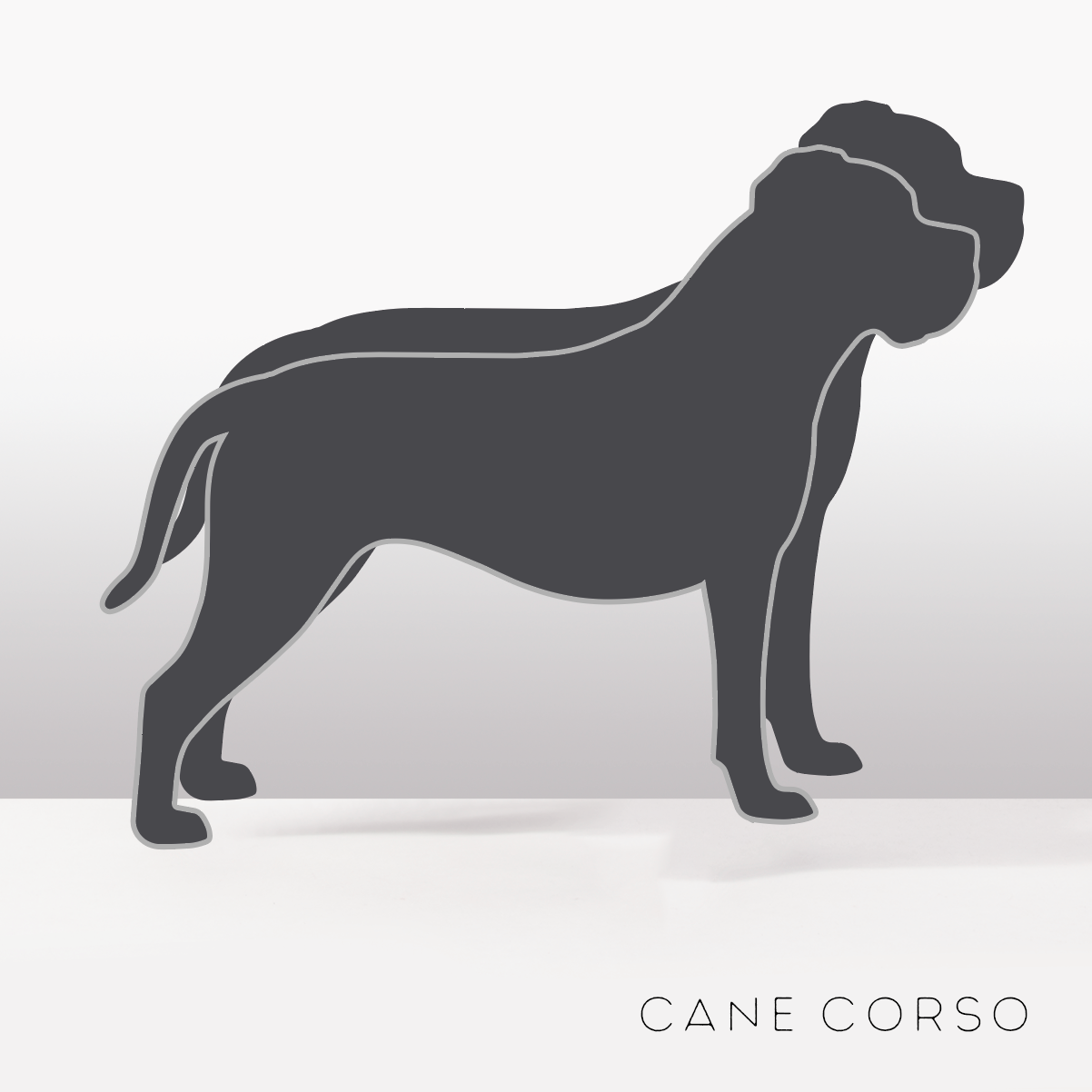 PflanzHunde LIMITED EDITION