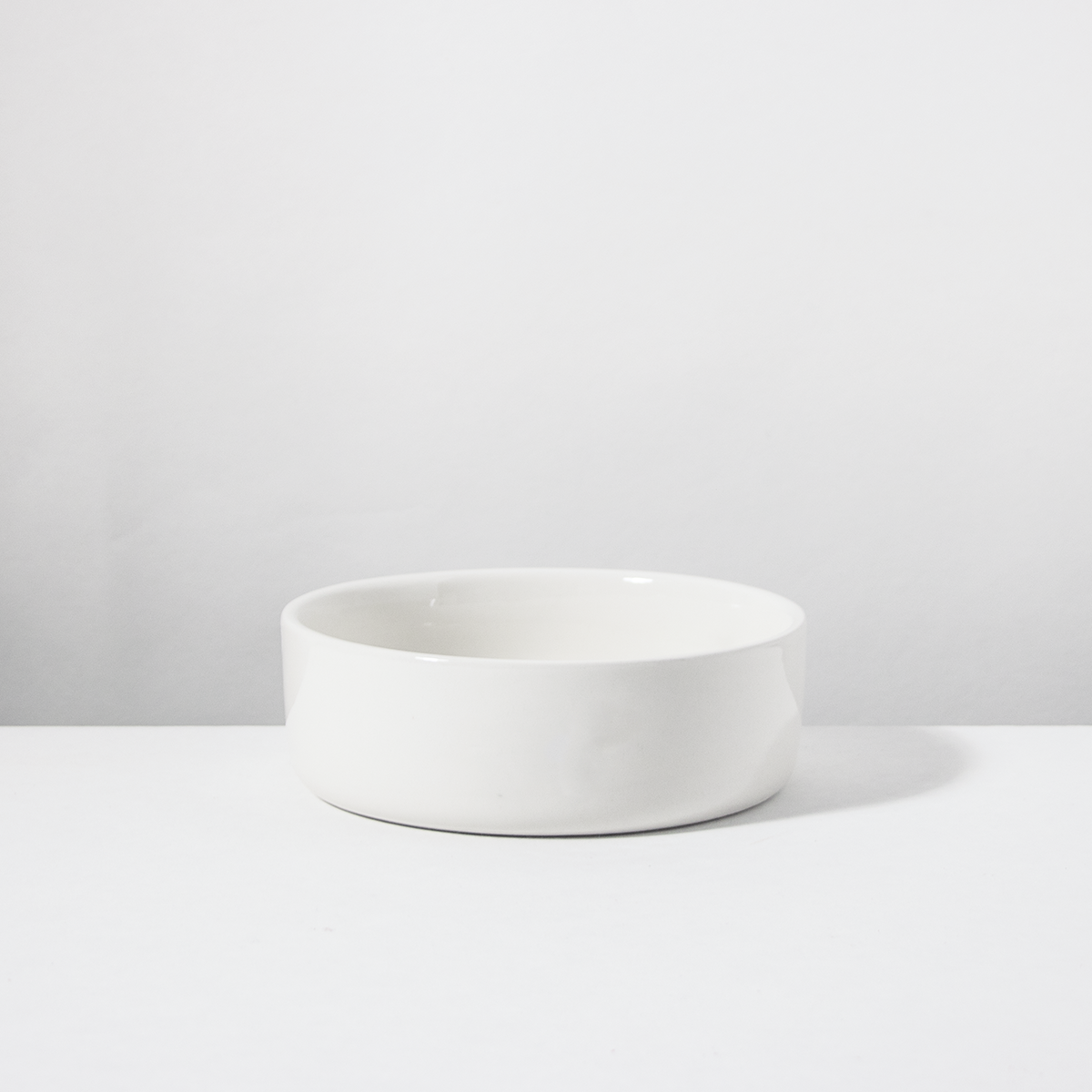 Dog Bowl Small but Fine Snow