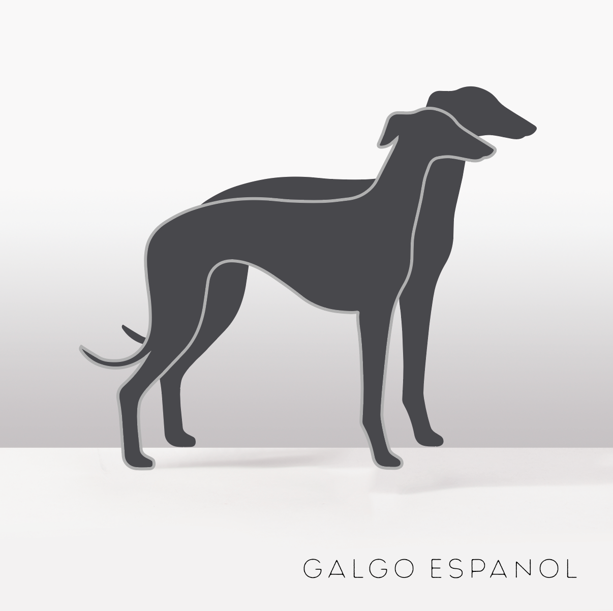 PflanzHunde LIMITED EDITION