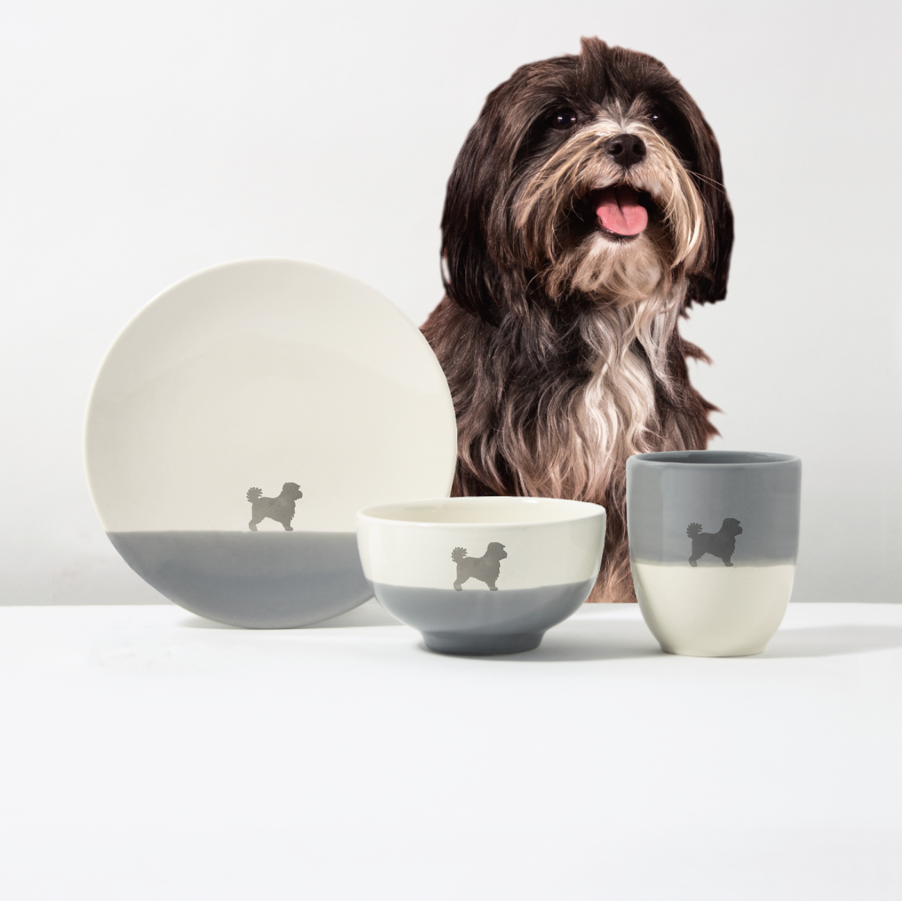 Basic Set Dusty Havanese