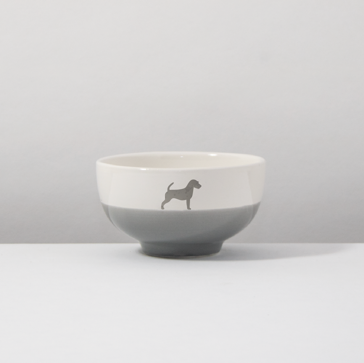 Bowl Jack Russell Terrier Dusty